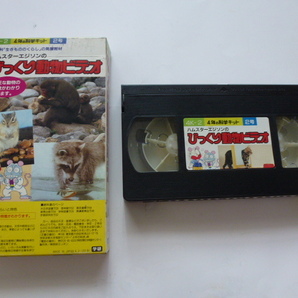 送料無料 VHS ビデオ VIDEO びっくり 動物 アニマル ビデオ ハムスター リス マウス エジソン 生きもの かわいい お子様 幼児 かわいい