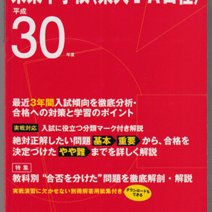 過去問 栄東中学校 平成30年度用(2018年)東大I・A日程 最近3年間入試(東京学参)