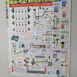 C01 週刊ゴング No.341 1991年1月10日号 国立競技場に10万人集めて戦おう！それが"俺たちの世代"の総決算だの画像3