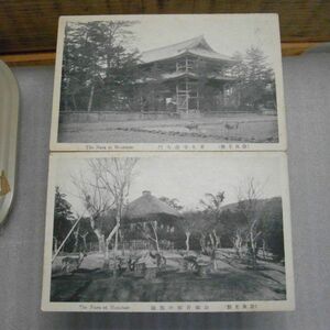 戦前絵葉書　奈良名勝　東大寺南大門　公園片岡の梅園　まとめて2枚