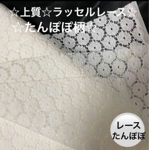 30A☆高級織物☆ラッセルレース☆たんぽぽ柄☆白に近いoff-white