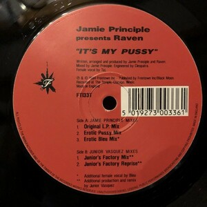 Jamie Principle Presents Raven / It's My Pussy