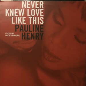 Pauline Henry Featuring Wayne Marshall /Never Knew Love Like This