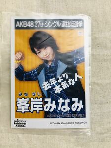 AKB48 公式生写真 ラブラドールレトリバー 峯岸みなみ
