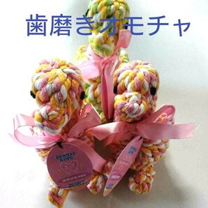 大特価!新品歯 ミガキトイ 犬 おもちゃ デンタルロープ 歯の健康 3個セット!