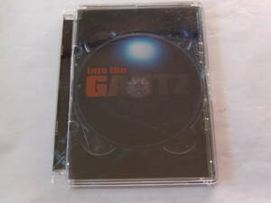 DVD into the GANTZ Ⅱ PERFECT ANSWER NAVIGATE DVD ナビゲートDVD 二宮和也 松山ケンイチ