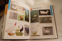 ■送料370円 学研の図鑑 鳥 とり_画像9