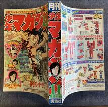 月刊少年マガジン 1980年11月号 それいけ岩清水ケサランパサラン三浦みつる 最終回ぼくらのバカンス 釣りキチ三平矢口甲子園の詩貝塚ひろし_画像2