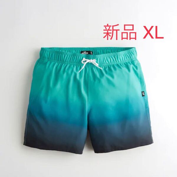 HOLLISTER ホリスター ストレッチ ガードスイムトランクス 5インチ