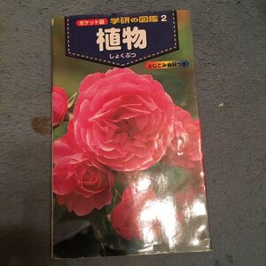 植物 /学研プラス/高橋秀男 (新書) 中古