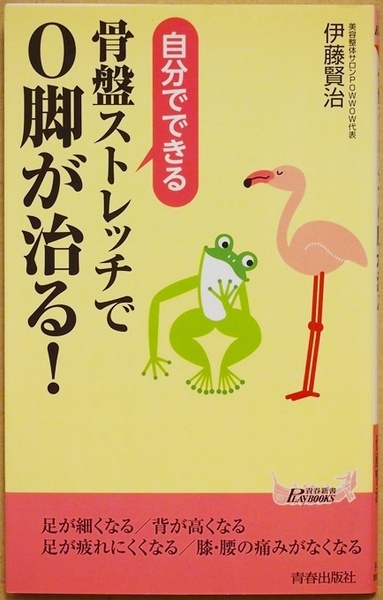 ★送料無料★ 自分でできる骨盤ストレッチでO脚が治る！ O脚の克服にはセルフケアこそ欠かせない 骨盤周り ストレッチ 正しい姿勢 伊藤賢治