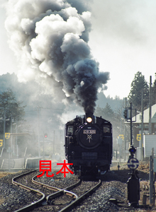 鉄道写真645ネガデータ、120200920004、C11-325、真岡鐵道、市塙駅付近、1999.12.23、（4553×3334）