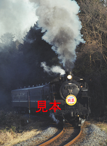 鉄道写真645ネガデータ、120400930008、C11-325＋50系＋2000賀正ヘッドマーク、真岡鐵道、茂木～天矢場、2000.01.01、（4591×3362）