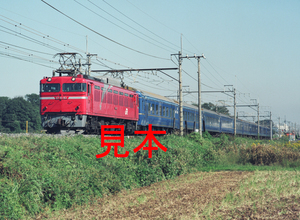 鉄道写真645ネガデータ、119200700005、EF81-93＋24系、JR東北本線、蓮田～東大宮、1999.10.21、（3964×2903）