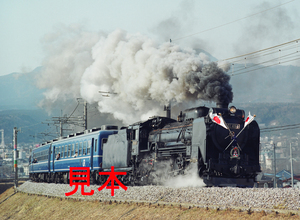 鉄道写真645ネガデータ、120500950002、D51-498（正月しめ飾り）＋12系、JR上越線、渋川～敷島、2000.01.02、（3770×2761）