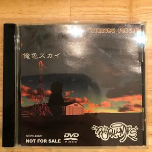 RADWIMPS 俺色スカイ DVD