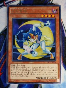 ◆A2271◆遊戯王OCG・月光蒼猫 レア SHVI-JP008・美品◆