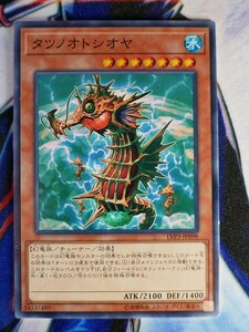 ◆B2262◆遊戯王OCG・タツノオトシオヤ ノーマル LVP3-JP098◆