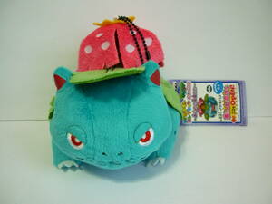  Pokemon My Pokemon collection soft toy fsigibana ball chain key chain mascot key holder Pocket Monster 