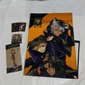 匿名 ツイステッドワンダーランド サバナクロー寮グッズ5点(メタルカード/プラカード/ラバーマスコット/アクリルチャーム/フェイスタオル)