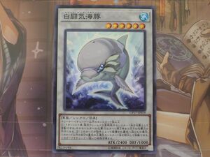 遊戯王　白闘気海豚　スーパー　レア　CP17　　プレイ用　R020127