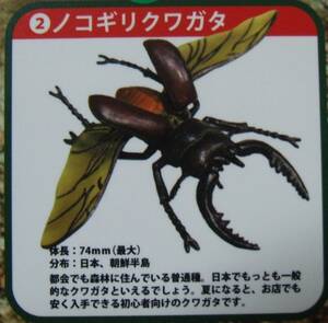【BEAM】ビーム　リアル造形 甲虫対戦 -飛翔編- 2.ノコギリクワガタ