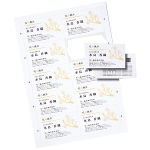 サンワサプライ マルチタイプまわりがきれいな名刺カード・標準(A4、10面、20シート200カード入り) JP-MCCM01(l-4969887418567)