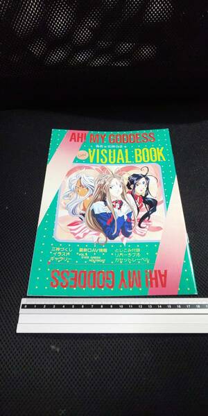 ■ 匿名配送 アニメV '93年12月号第1付録 1993年12月1日 ああっ女神さま ベルダンディー MUSIC VISUAL BOOK 井上喜久子 冬馬 由美 久川 綾