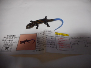  chocolate egg japanese animal * 3 * Japan lizard (. body )*87