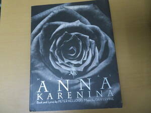 アンナカレーニナ パンフレット　一路真輝、瀬奈じゅん、伊礼彼方、葛山信吾　ミュージカル 2011 パンフ aoaoya　/D