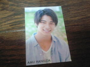 ［同梱可］★ジャニーズJr.☆羽生田拳武★Myojo_63周年データカード☆2015★Myojo_63th☆DATA Card☆