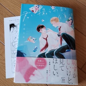 君に撮られると僕は