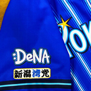 ★送料無料★横浜 DeNA ベイスターズ　新潟湾党　白布　応援　刺繍　ワッペン　ユニフォーム