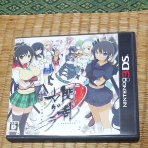 閃乱カグラ少女達の真影