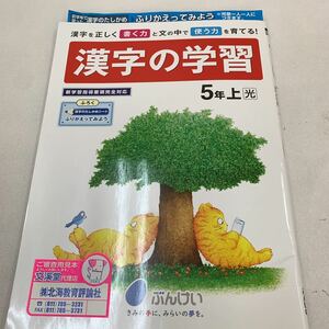 漢字の学習 5年生 上 ふりかえり 正しい漢字 書く力 漢字 国語 【家庭学習用】【復習用】 小学校 ドリル プリント テスト答案 d124