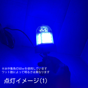 しらすうなぎ LED集魚灯 30W ブルー DC12v24 水中ライト 水中イルミネーション 船舶 夜釣り 水中集魚灯 船舶夜釣り 仕掛け シラスウナギ