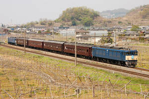 鉄道 デジ 写真 画像 EF64 旧型客車 レトロ桃源郷号 1