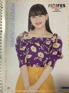 即決 笠原 桃奈 2018 ハロフェス アンジュルム ピンポス ピンナップ ポスター 送料140