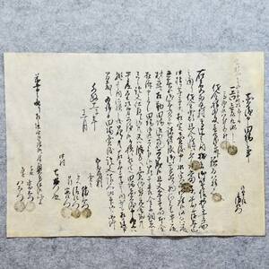 古文書 文政十一年 売渡申田地之事 魚沼郡 中村 新潟県