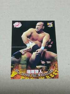 BBM プロレスカード2000 No.17　全日本プロレス　垣原賢人