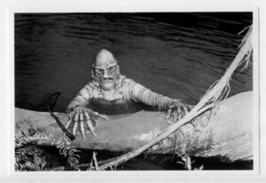 ［フォト4x6］ 大アマゾンの半魚人 (ベン・チャップマン) 15A 写真(小)