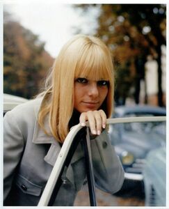 ［フォト8x10］ フランス・ギャル France Gall 2A 写真(大)