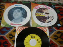 70's リッキー・シェイン Ricky Shayne (7inch)/ マミー・ブルー Mamy Blue / アイブ・ガット・イツト・オール I've Got It All 1971年_画像2