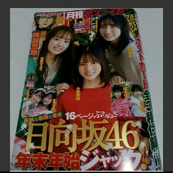 日向坂46ポストカード付き 月刊ヤングマガジン