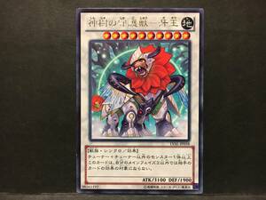 遊戯王 rr186「神樹の守護獣－牙王」1枚 レア　LVAL 数量2