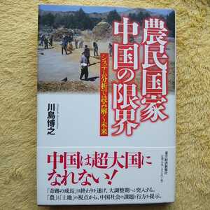 農民国家 中国の限界／システム分析で読み解く未来 川島博之 著