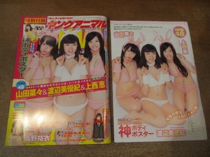 2101mn●ヤングアニマル 20/2013.10.25●表紙：山田菜々＆渡辺美優紀＆上西恵/高野祐衣/コタニヨーコ東京DTED/新 職業・殺し屋。斬ZAN