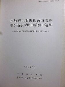 千葉県文化財センター調査報告 380 市原市天羽田稲荷山遺跡　袖ヶ浦市天羽田稲荷山遺跡　主要地方道千葉鴨川線埋蔵文化財調査報告書４