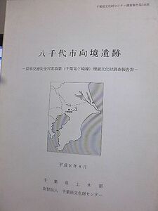 千葉県文化財センター調査報告 346 八千代市向境遺跡　県単交通安全対策事業(千葉竜ケ崎線)埋蔵文化財調査報告書