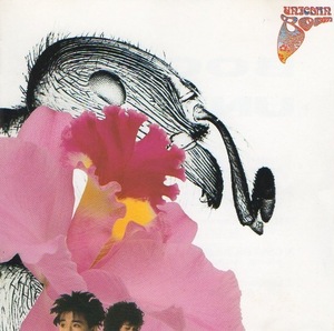 UNICORN ユニコーン / BOOM ブーム / 1987.10.21 / 1stアルバム / 32DH-804